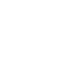 THE ITALIAN STYLE
